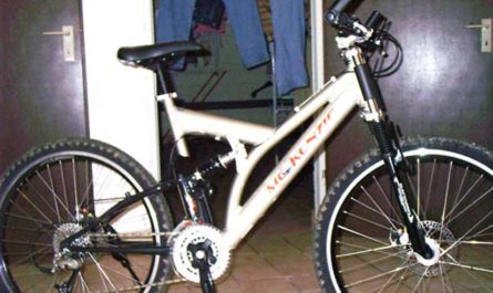 Mc Kenzie Mountain Bike oder die "Aldi-Connection"