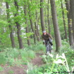 Jabba Wood im Test - Mountainbike