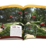 Freeride - Moves, Bikes und Parts - Das Buch