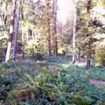 Biken in der Sonsbecker Schweiz