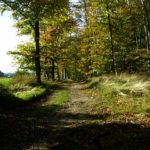 Biken in der Sonsbecker Schweiz
